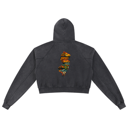 Snow Washed Cropped Hoodie